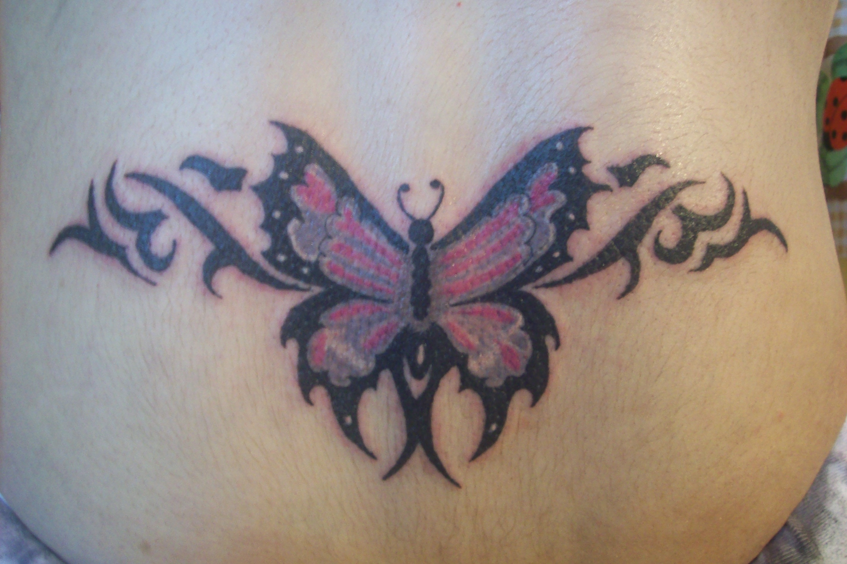 Tatouage Papillon Bas Du Dos tatoo - Page 4